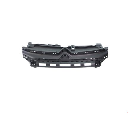 CITROEN ÖN PANJUR C3 2020-