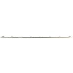VOLKSWAGEN ARKA TAMPON NİKELAJI ORTA GOLF 8 2020-