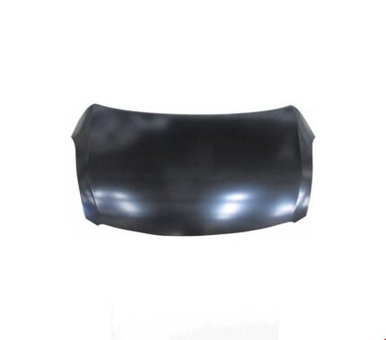 SUZUKİ MOTOR KAPUTU SWİFT 2011-