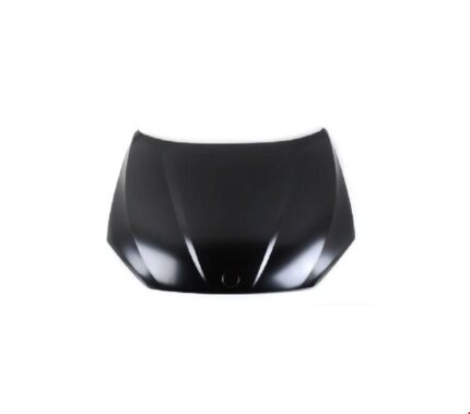 BMW MOTOR KAPUTU (TYG) E84 X1 2009-