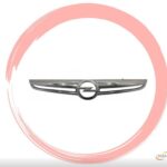 OPEL ÖN PANJUR NİKELAJI CORSA D 2011-
