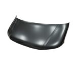VOLKSWAGEN MOTOR KAPUTU T-6 2009-