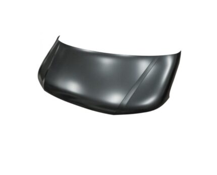 VOLKSWAGEN MOTOR KAPUTU T-6 2009-
